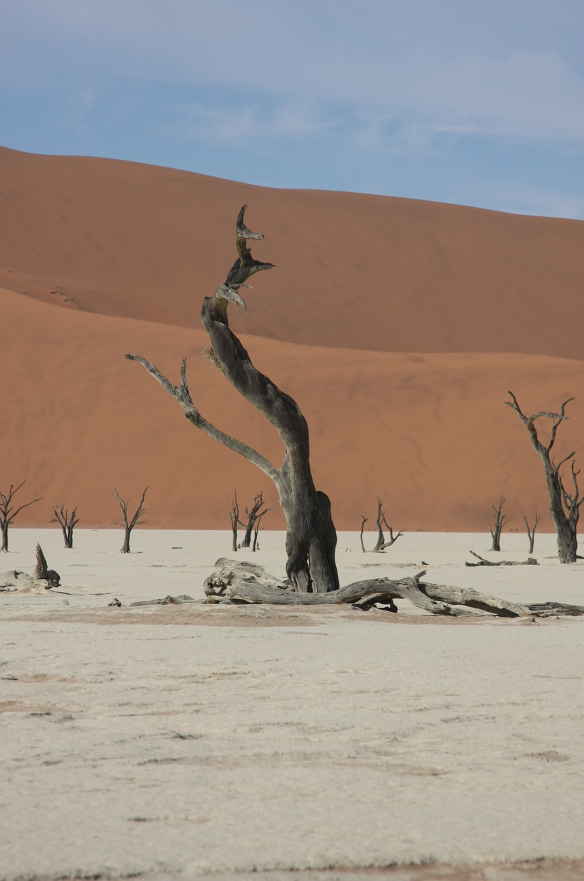 [15332] 2016_06_25_04_51_52_Africa_Canon_EOS_40D_IMG__00106.jpg