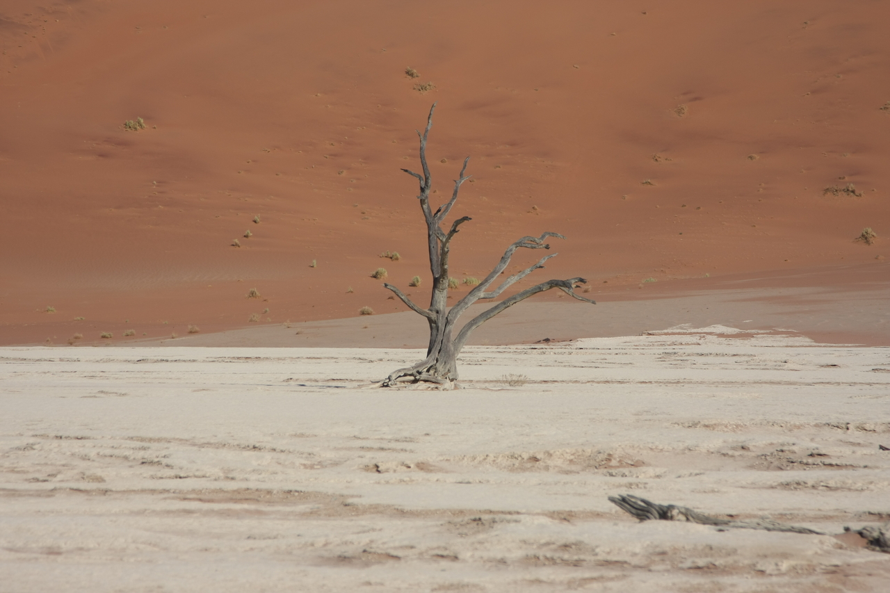 [15337] 2016_06_25_04_52_08_Africa_Canon_EOS_40D_IMG__09547.jpg