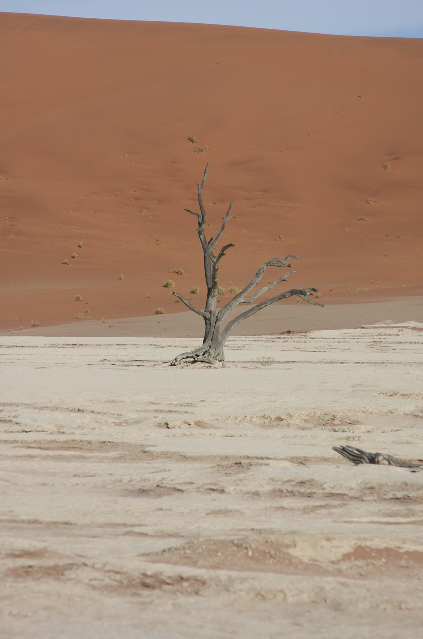 [15338] 2016_06_25_04_52_16_Africa_Canon_EOS_40D_IMG__00108.jpg