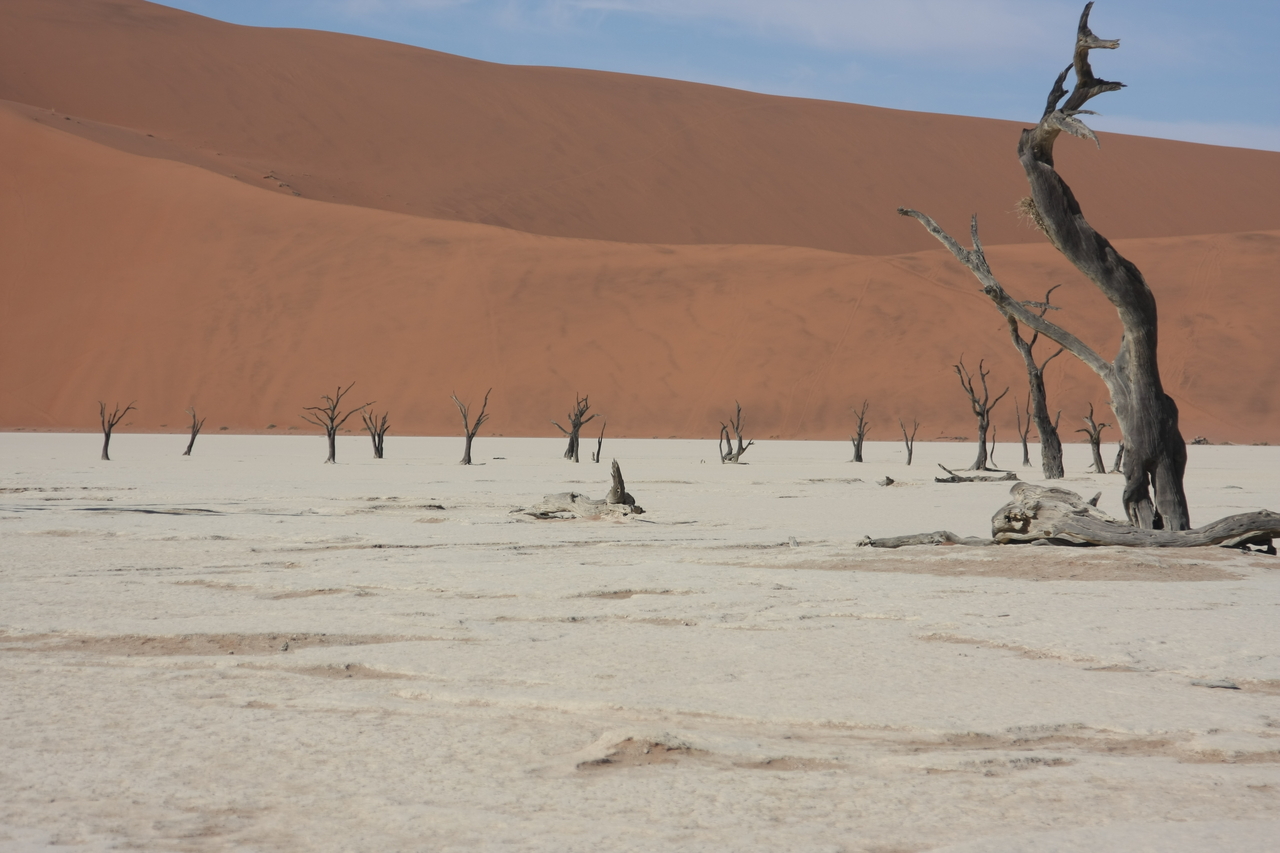 [15341] 2016_06_25_04_53_00_Africa_Canon_EOS_40D_IMG__00109.jpg