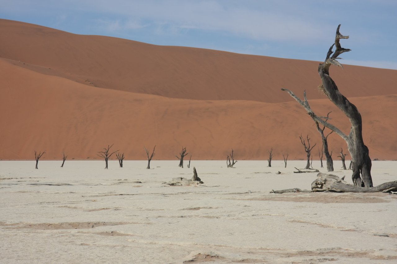 [15346] 2016_06_25_04_53_05_Africa_Canon_EOS_40D_IMG__09550.jpg