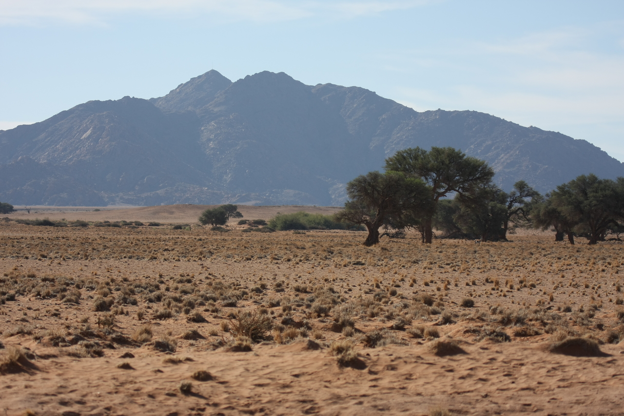 [15784] 2016_06_25_09_32_06_Africa_Canon_EOS_40D_IMG__09555.jpg