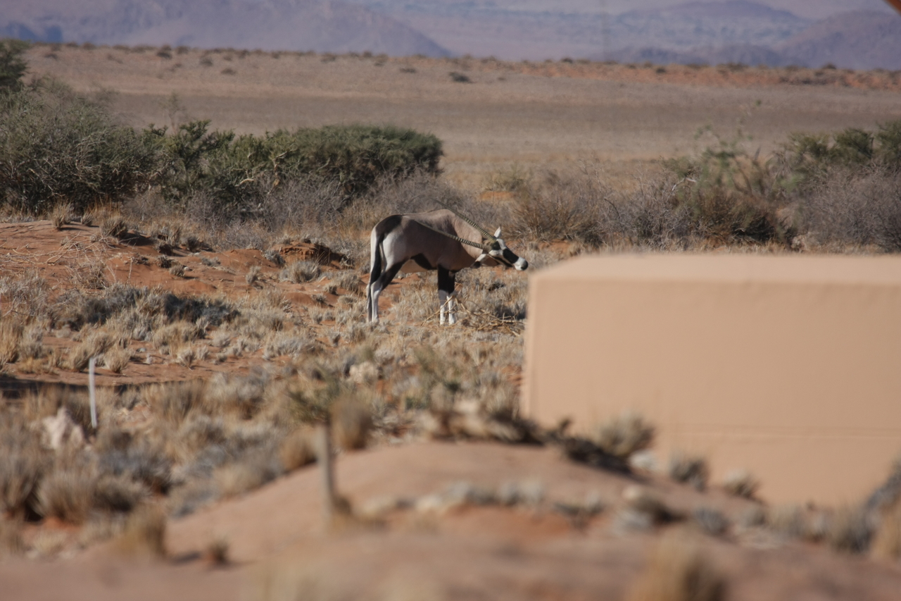 [15816] 2016_06_25_09_33_58_Africa_Canon_EOS_40D_IMG__00128.jpg