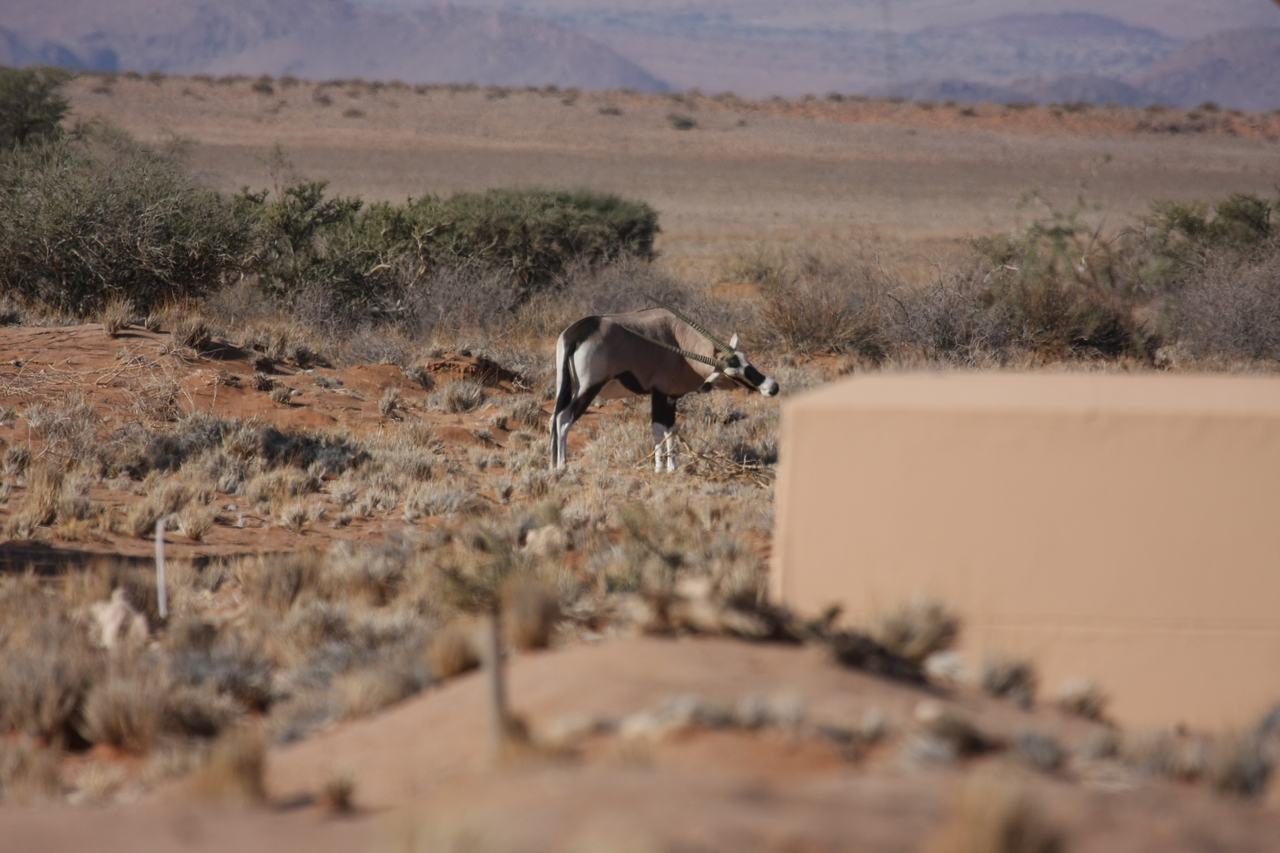 [15817] 2016_06_25_09_33_58_Africa_Canon_EOS_40D_IMG__00129.jpg