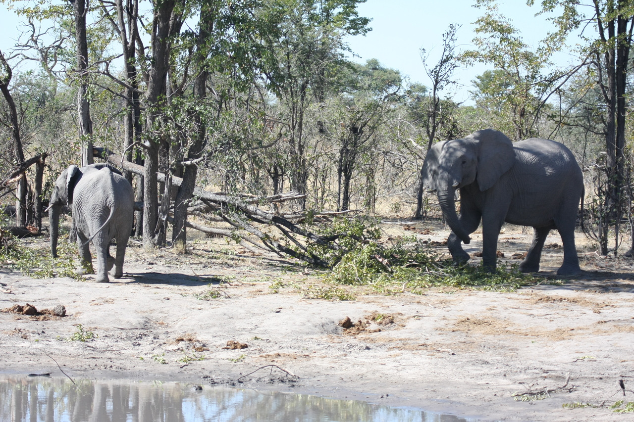 [16845] 2016_06_27_07_52_03_Africa_Canon_EOS_40D_IMG__02312.jpg