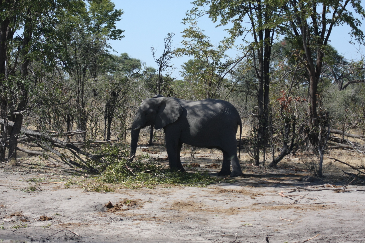 [16849] 2016_06_27_07_52_11_Africa_Canon_EOS_40D_IMG__02313.jpg
