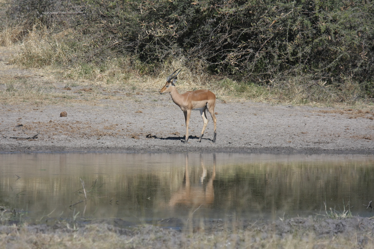 [16931] 2016_06_27_08_07_28_Africa_Canon_EOS_40D_IMG__02340.jpg