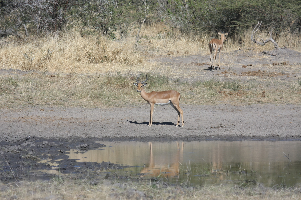 [16944] 2016_06_27_08_07_49_Africa_Canon_EOS_40D_IMG__00055.jpg