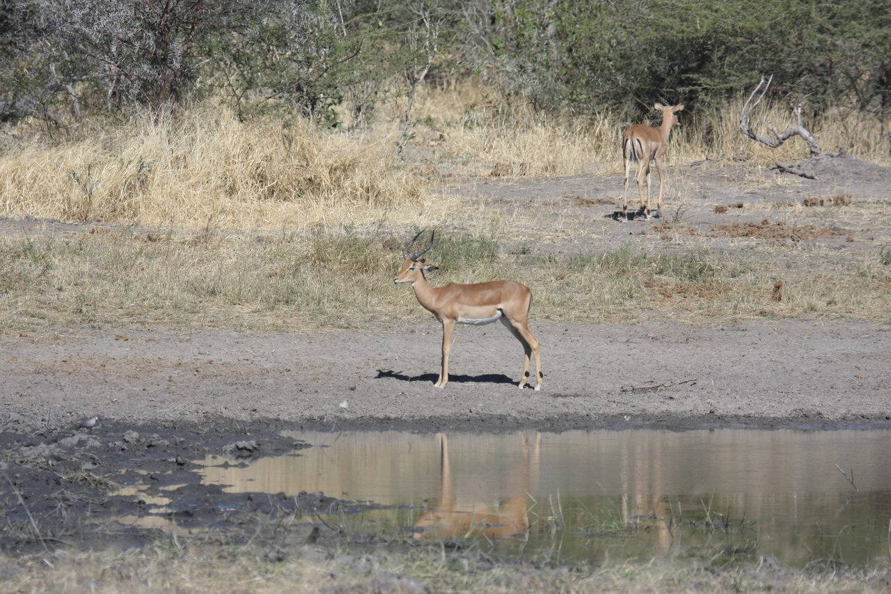 [16951] 2016_06_27_08_07_50_Africa_Canon_EOS_40D_IMG__02346.jpg