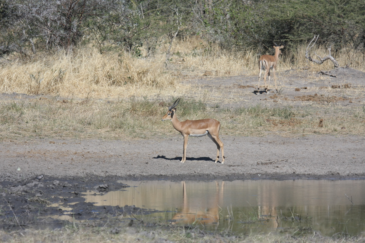 [16952] 2016_06_27_08_07_50_Africa_Canon_EOS_40D_IMG__02348.jpg