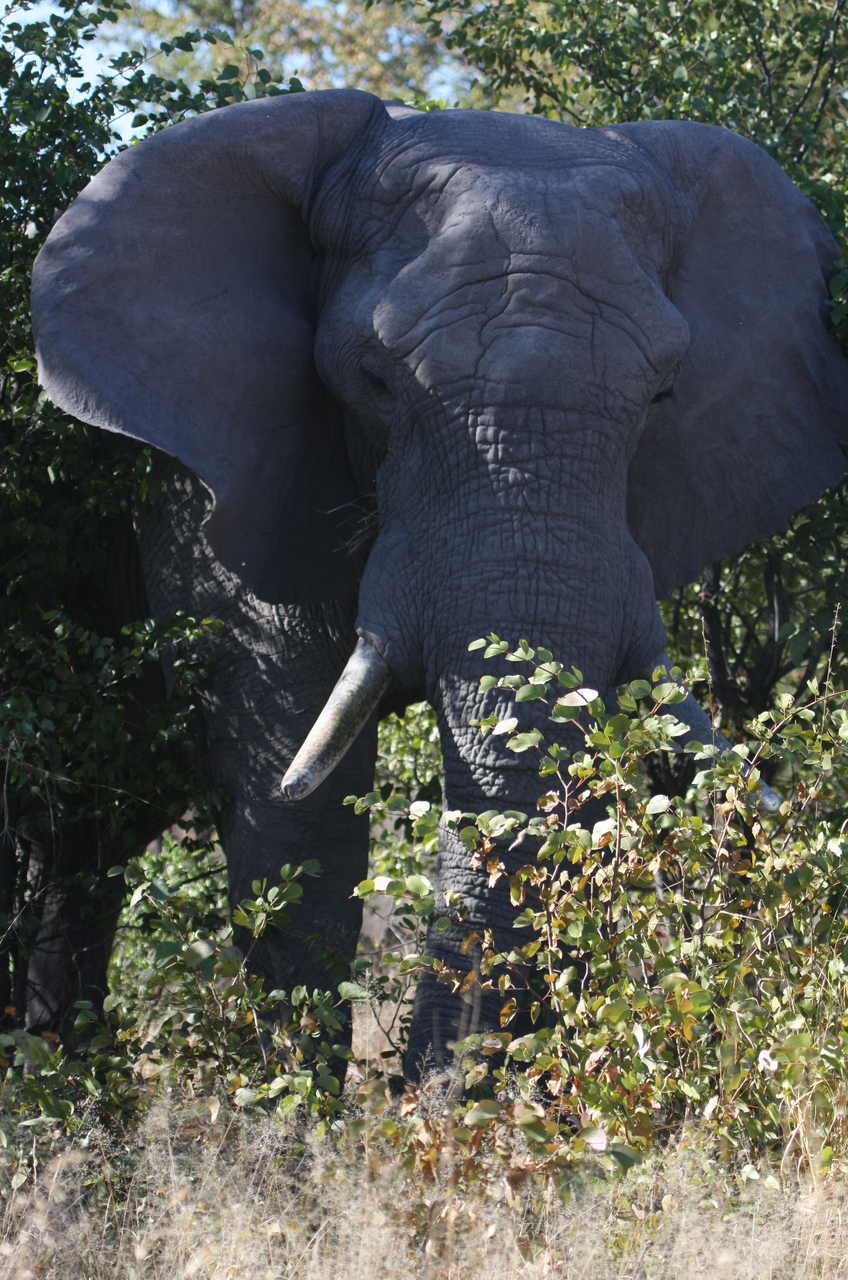 [17001] 2016_06_27_09_18_25_Africa_Canon_EOS_40D_IMG__02359.jpg