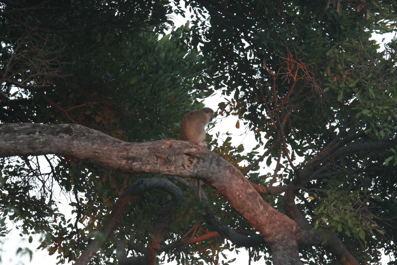 [17487] 2016_06_28_01_03_45_Africa_Canon_EOS_40D_IMG__02833.jpg