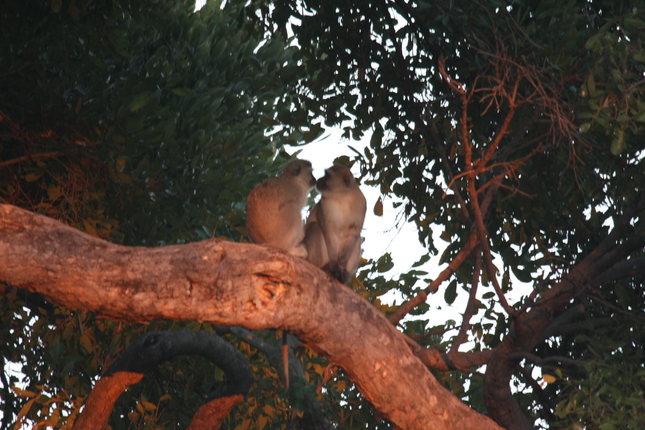 [17496] 2016_06_28_01_05_06_Africa_Canon_EOS_40D_IMG__00845.jpg