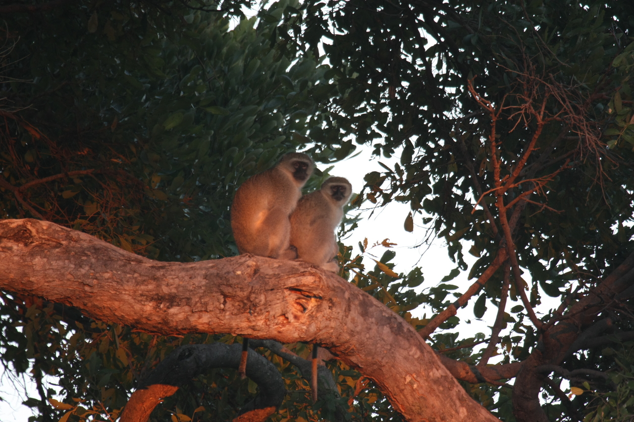 [17504] 2016_06_28_01_05_13_Africa_Canon_EOS_40D_IMG__02401.jpg