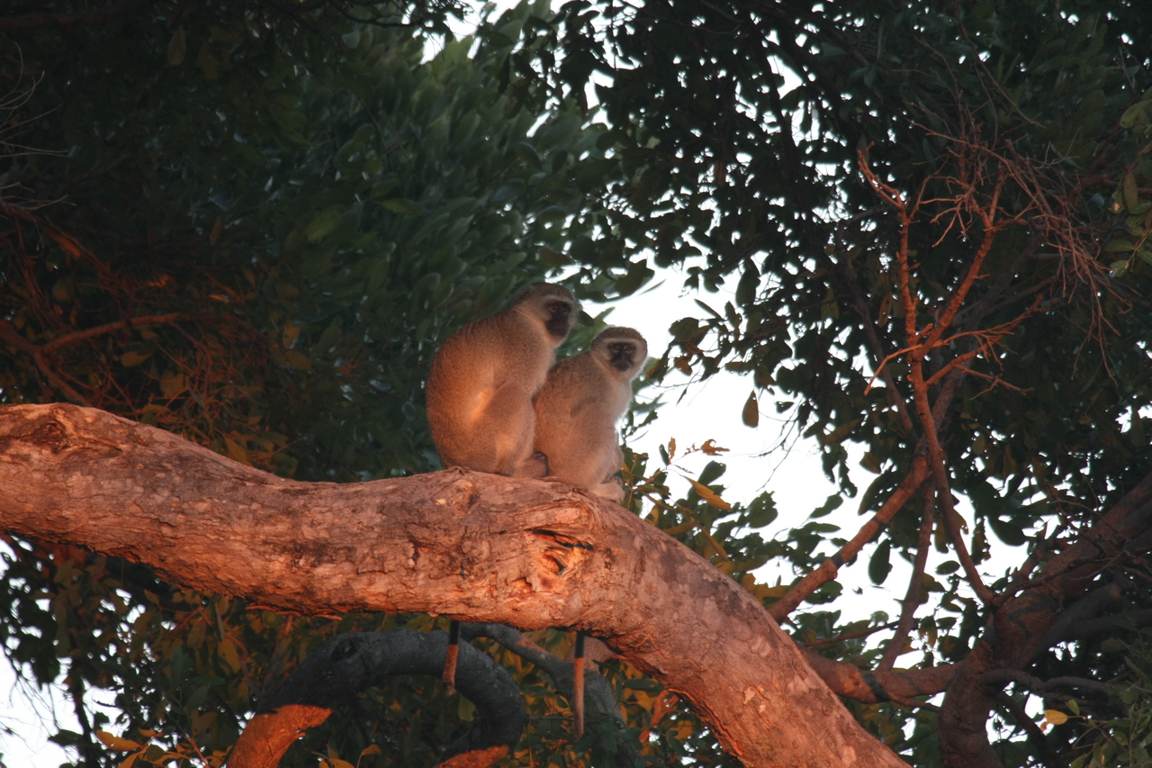 [17505] 2016_06_28_01_05_13_Africa_Canon_EOS_40D_IMG__09837.jpg