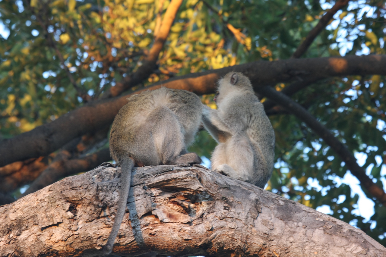 [17567] 2016_06_28_01_10_44_Africa_Canon_EOS_40D_IMG__00202.jpg