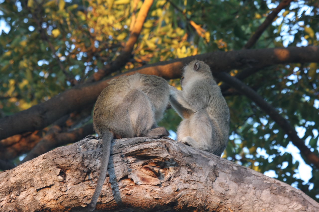 [17570] 2016_06_28_01_10_44_Africa_Canon_EOS_40D_IMG__02600.jpg