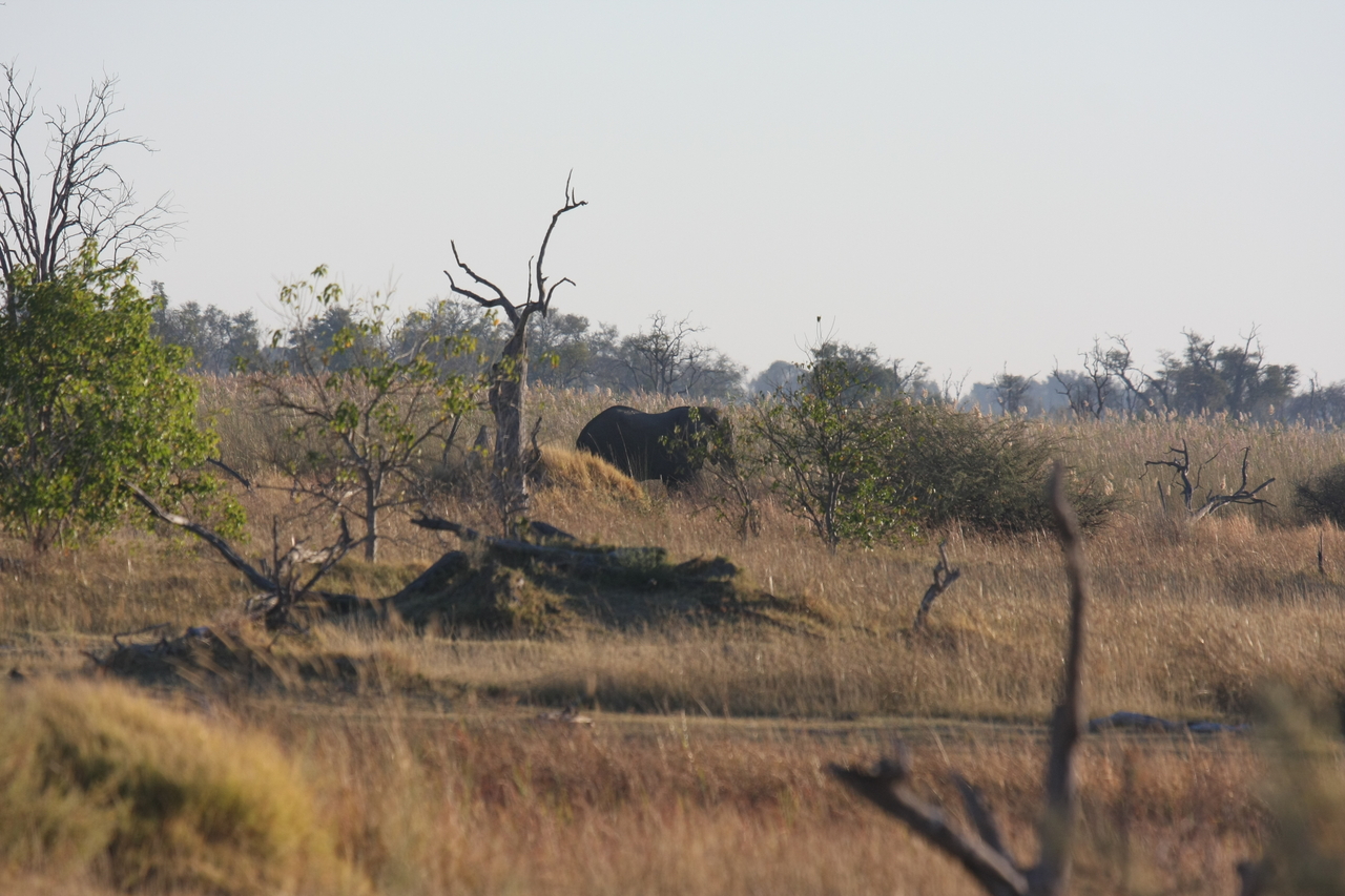 [17707] 2016_06_28_01_39_47_Africa_Canon_EOS_40D_IMG__00646.jpg