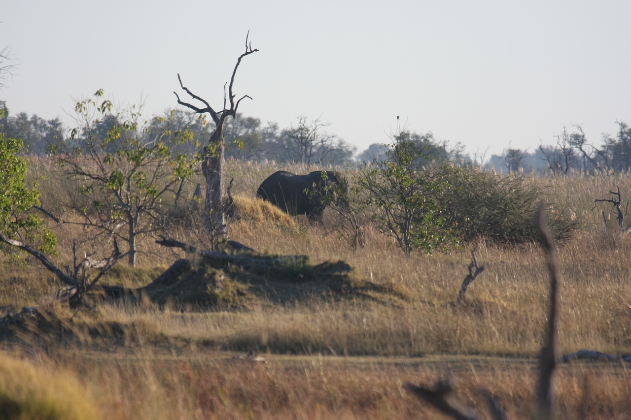 [17712] 2016_06_28_01_39_54_Africa_Canon_EOS_40D_IMG__03044.jpg
