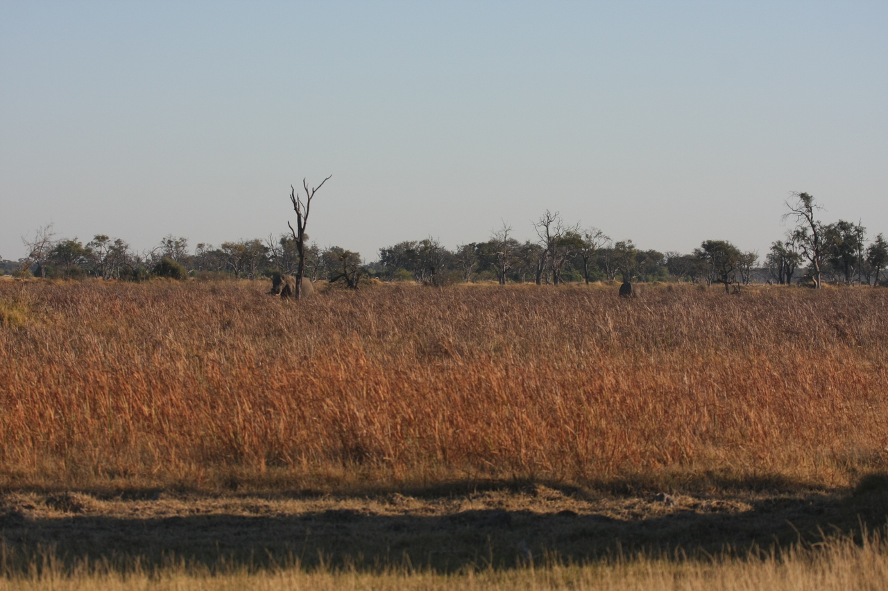 [17731] 2016_06_28_01_46_02_Africa_Canon_EOS_40D_IMG__03067.jpg