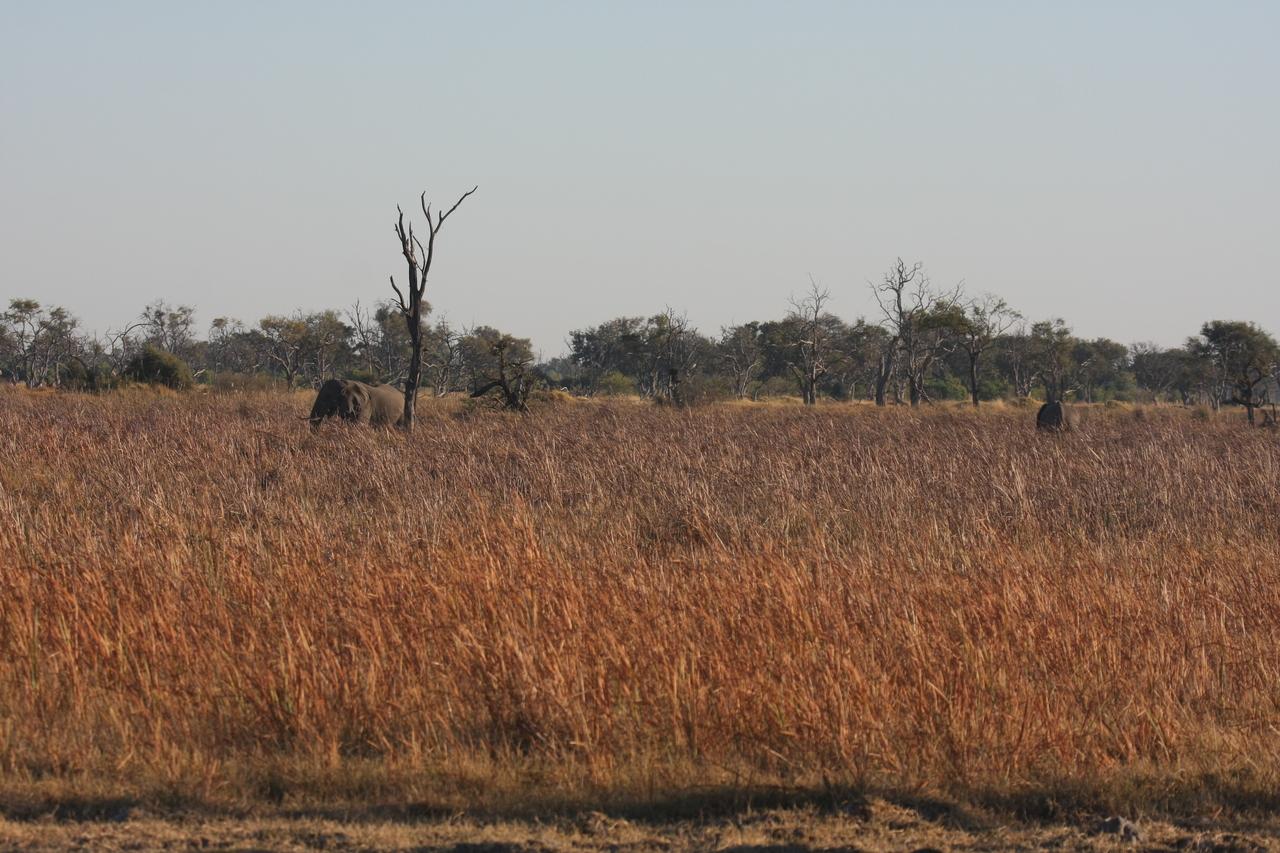 [17735] 2016_06_28_01_46_17_Africa_Canon_EOS_40D_IMG__03078.jpg