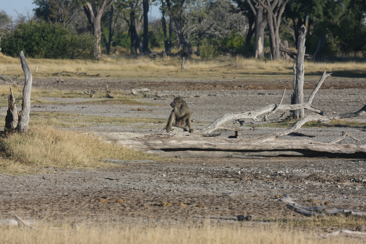 [17761] 2016_06_28_01_59_00_Africa_Canon_EOS_40D_IMG__10614.jpg
