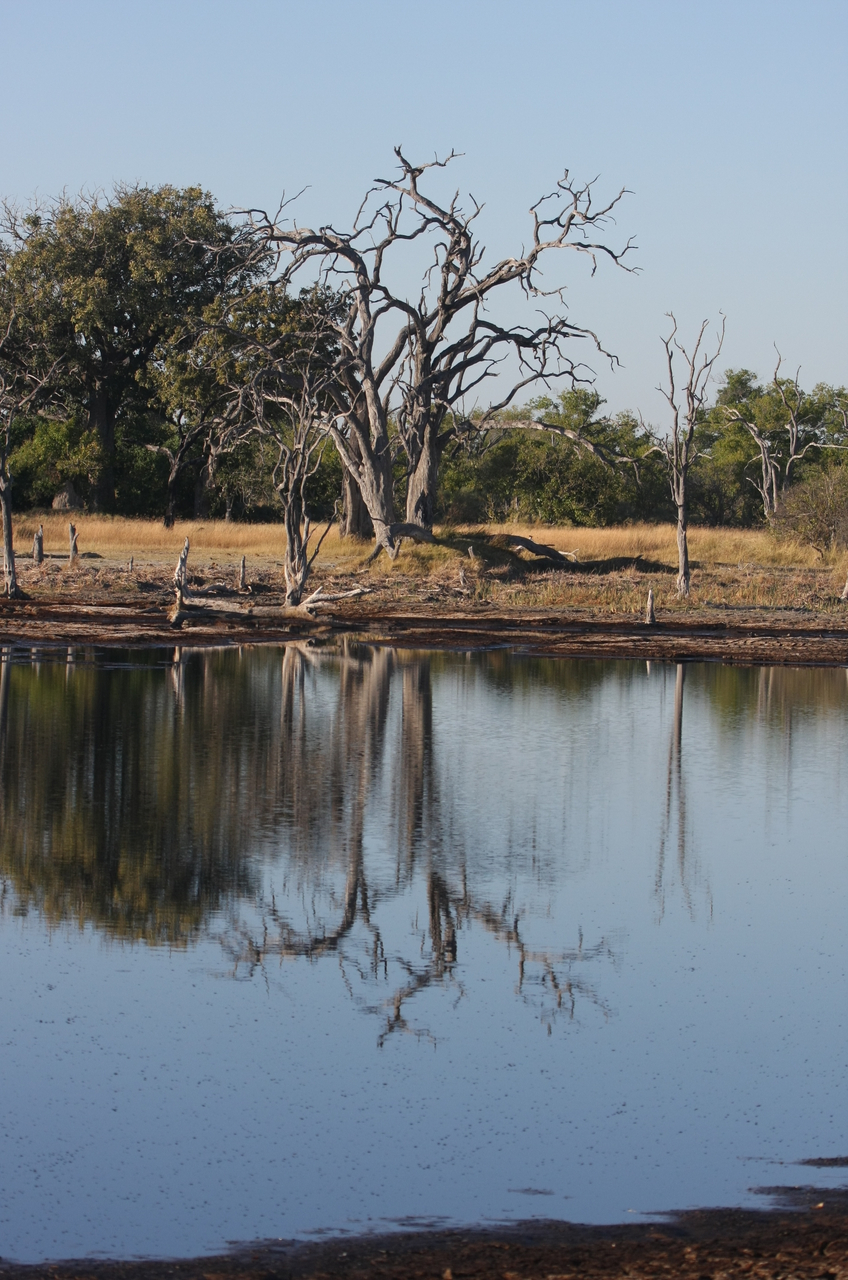 [17790] 2016_06_28_02_04_56_Africa_Canon_EOS_40D_IMG__00847.jpg