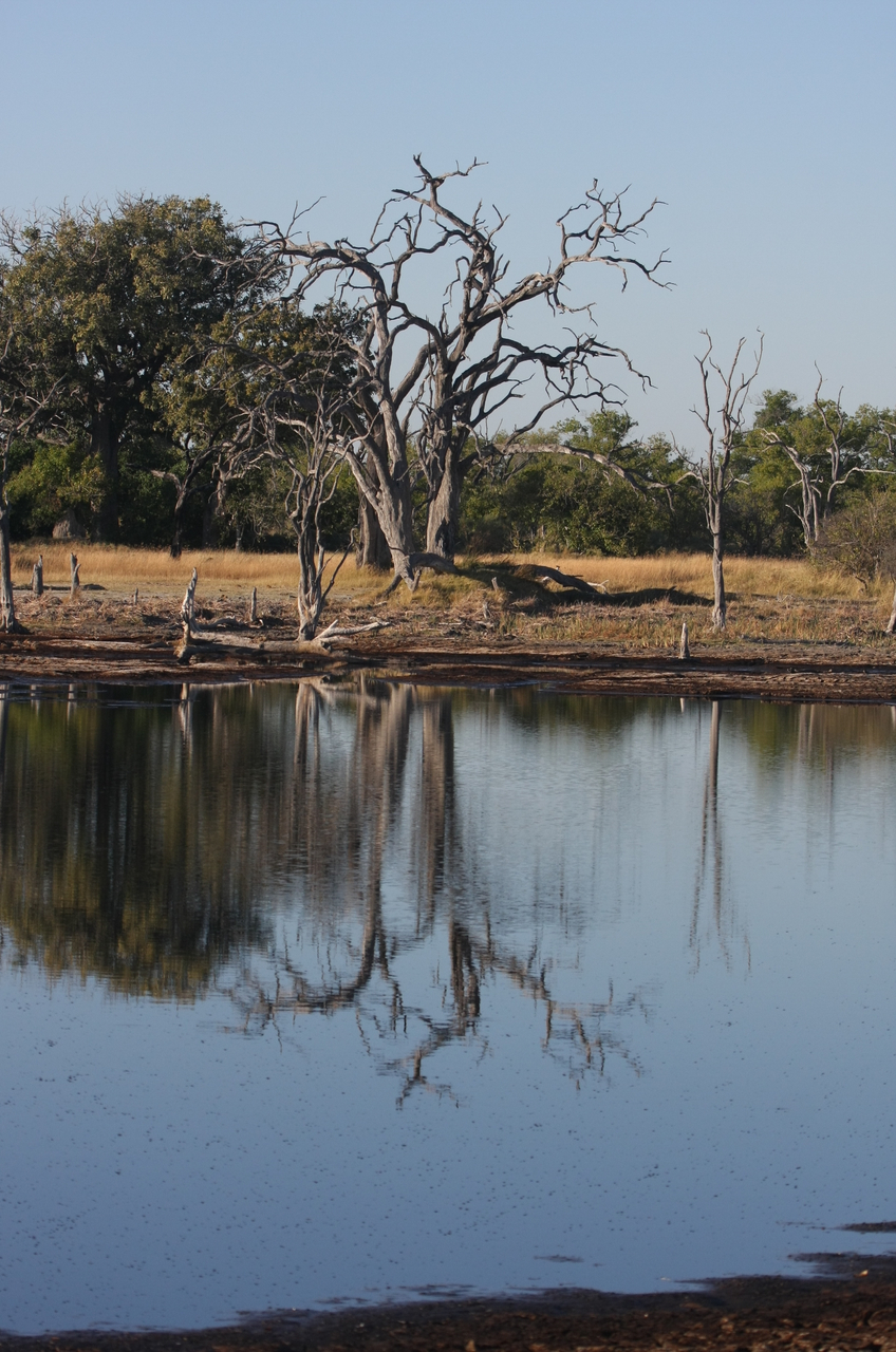 [17793] 2016_06_28_02_04_56_Africa_Canon_EOS_40D_IMG__03235.jpg