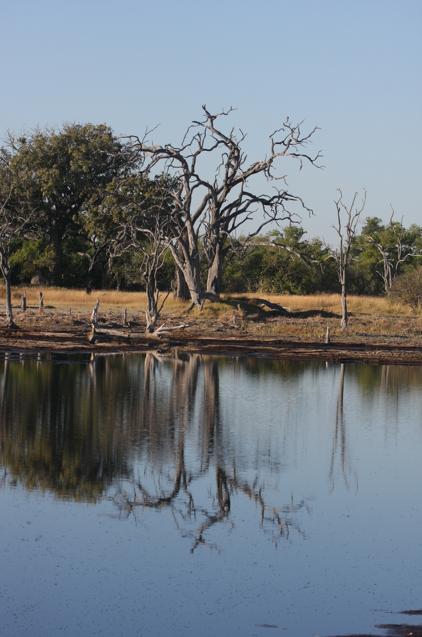 [17798] 2016_06_28_02_05_00_Africa_Canon_EOS_40D_IMG__03236.jpg