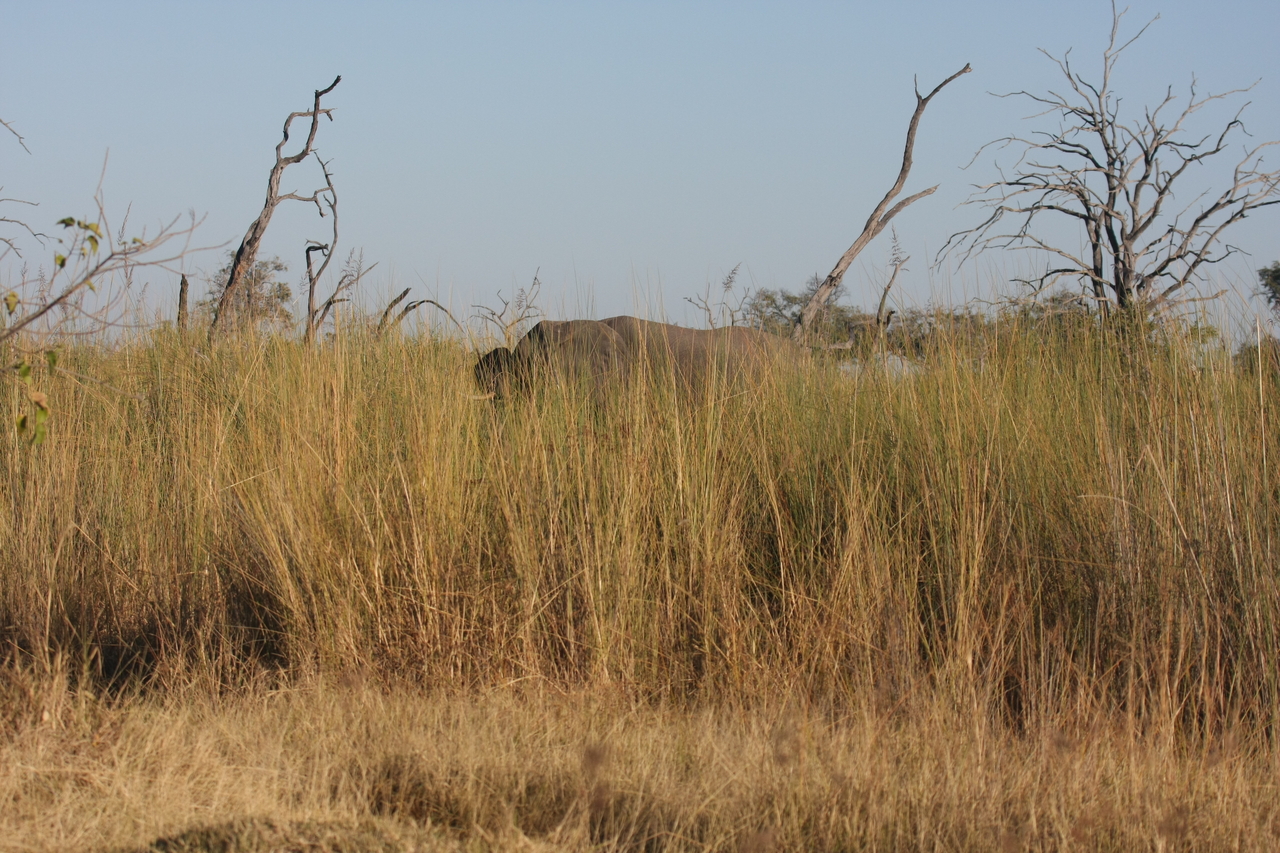 [17804] 2016_06_28_02_08_42_Africa_Canon_EOS_40D_IMG__10685.jpg