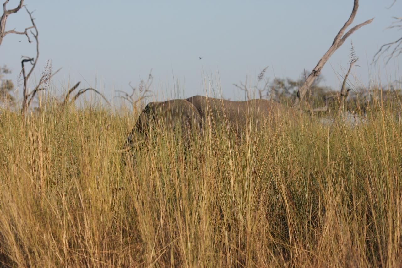 [17809] 2016_06_28_02_08_50_Africa_Canon_EOS_40D_IMG__10686.jpg