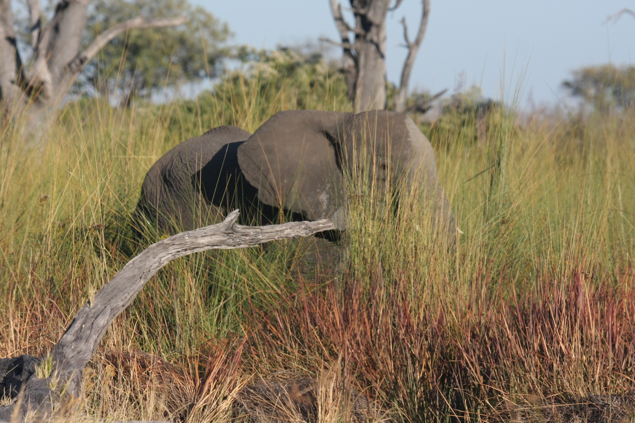[17851] 2016_06_28_02_13_07_Africa_Canon_EOS_40D_IMG__00017.jpg