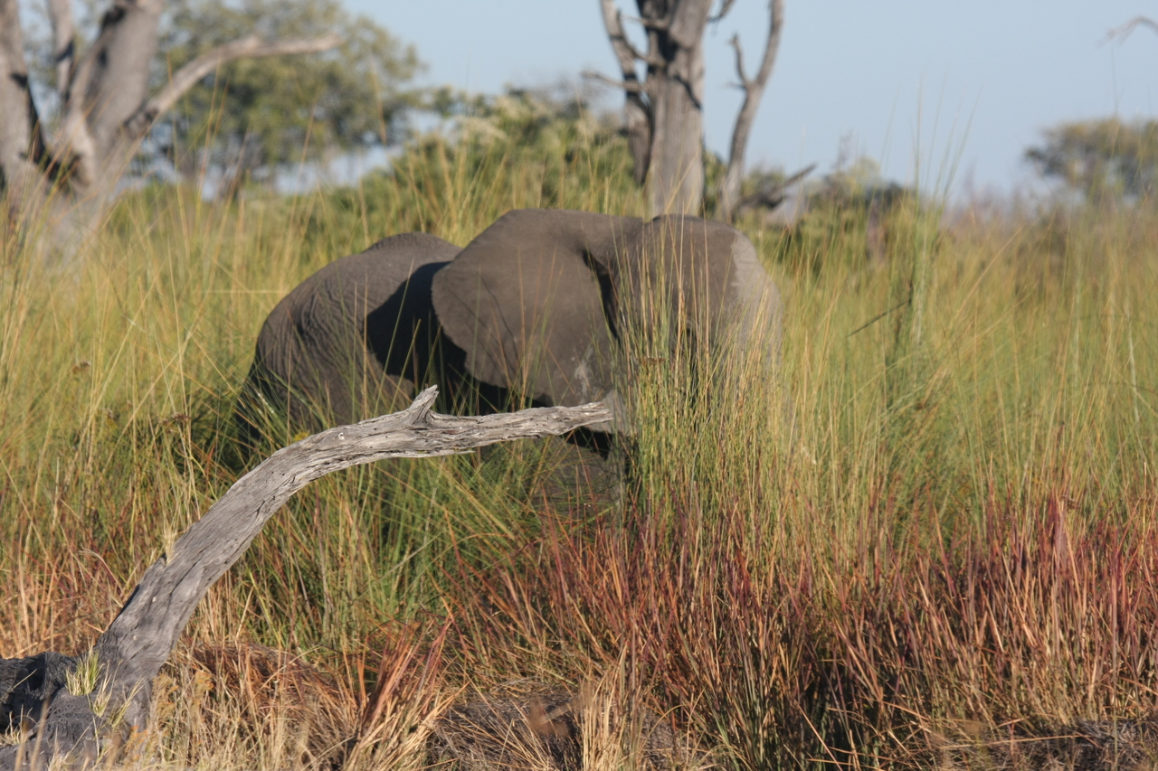[17856] 2016_06_28_02_13_10_Africa_Canon_EOS_40D_IMG__00018.jpg