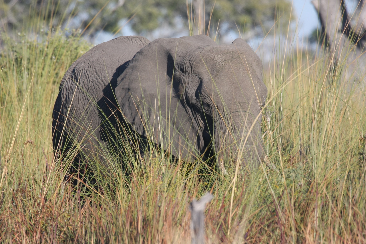 [17889] 2016_06_28_02_16_20_Africa_Canon_EOS_40D_IMG__00030.jpg