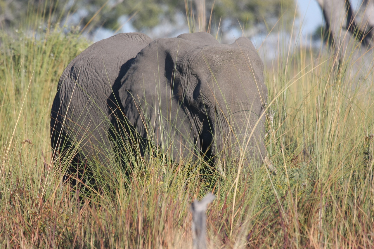 [17890] 2016_06_28_02_16_20_Africa_Canon_EOS_40D_IMG__00031.jpg