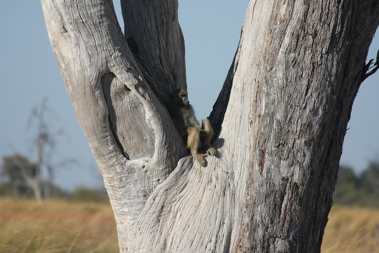 [18180] 2016_06_28_02_44_01_Africa_Canon_EOS_40D_IMG__02525.jpg