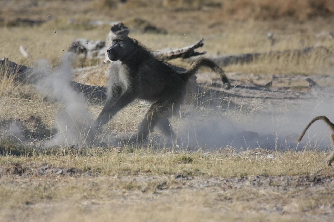 [18198] 2016_06_28_02_44_24_Africa_Canon_EOS_40D_IMG__00144.jpg