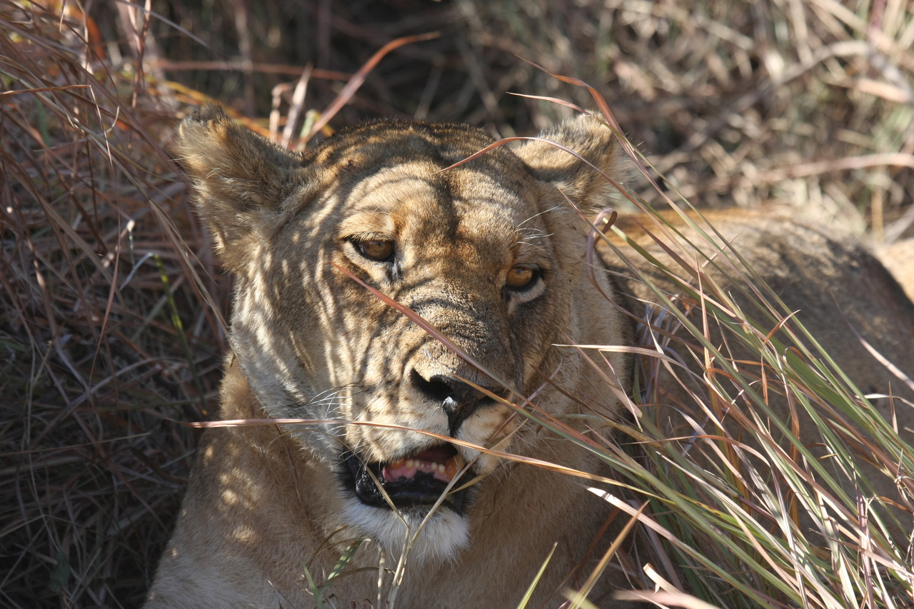 [18594] 2016_06_28_04_03_01_Africa_Canon_EOS_40D_IMG__00290.jpg