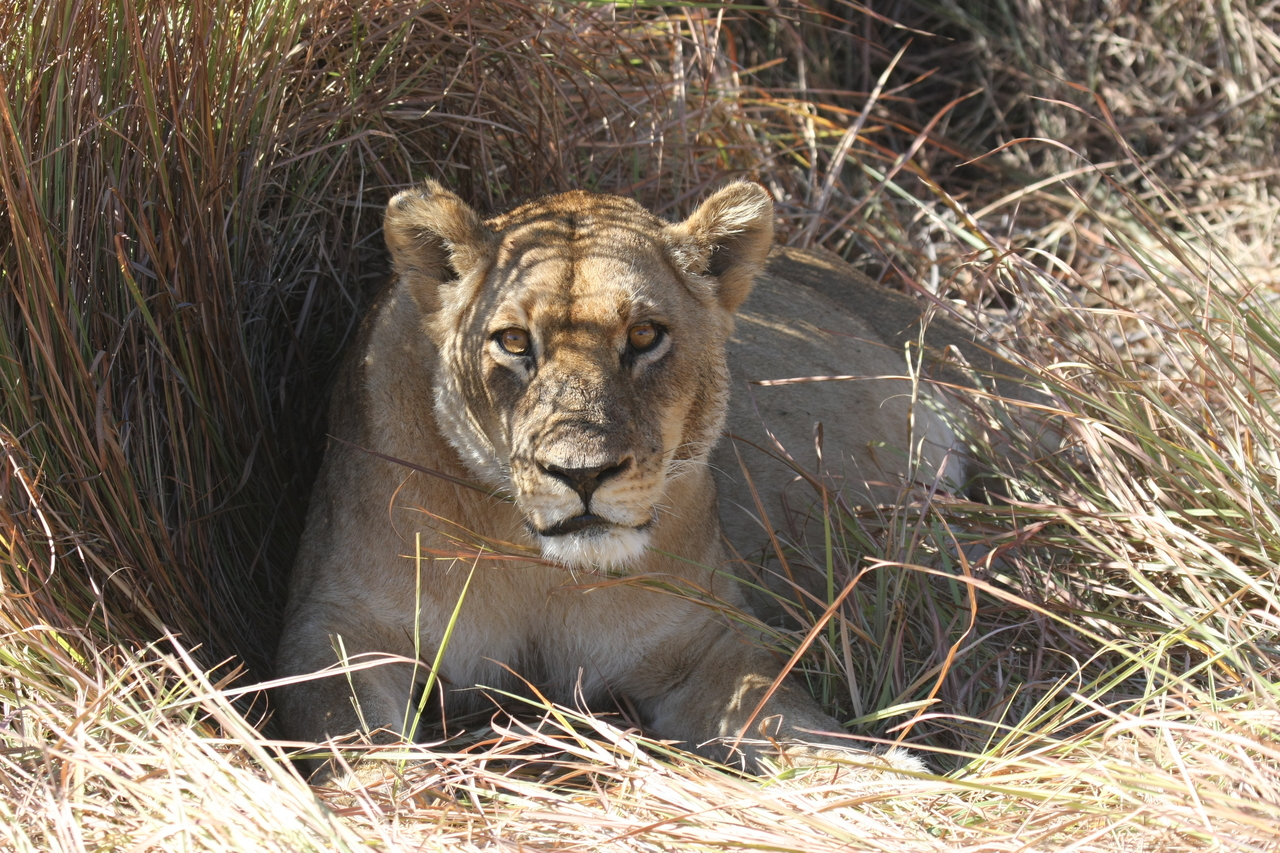 [18614] 2016_06_28_04_03_33_Africa_Canon_EOS_40D_IMG__02684.jpg