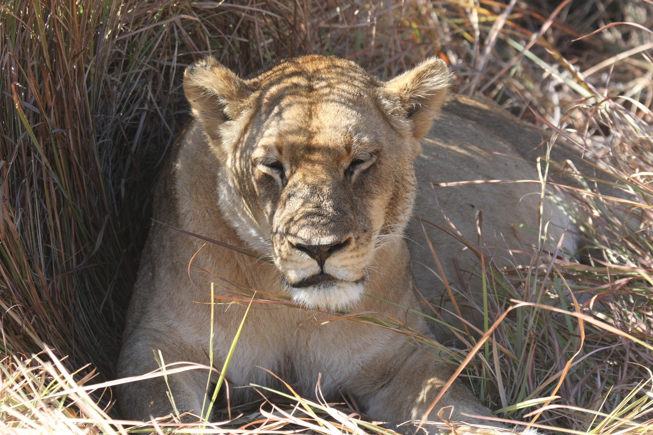 [18623] 2016_06_28_04_03_35_Africa_Canon_EOS_40D_IMG__10134.jpg