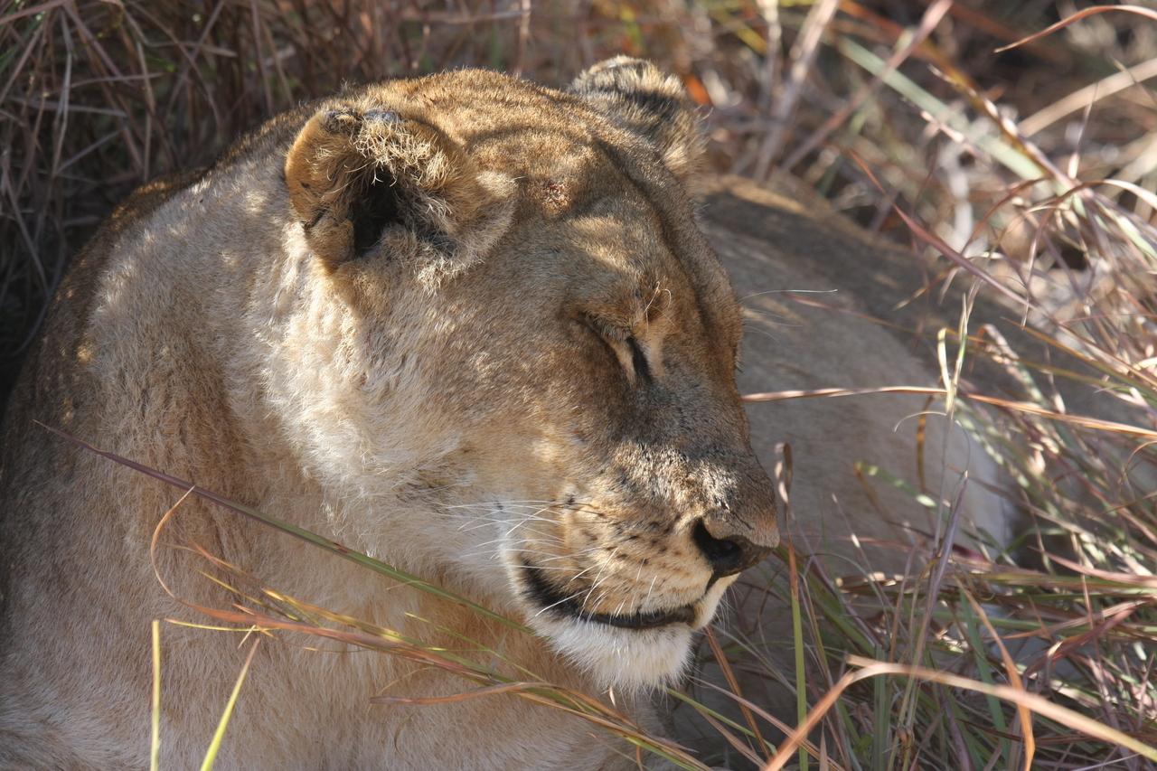 [18631] 2016_06_28_04_03_47_Africa_Canon_EOS_40D_IMG__02691.jpg