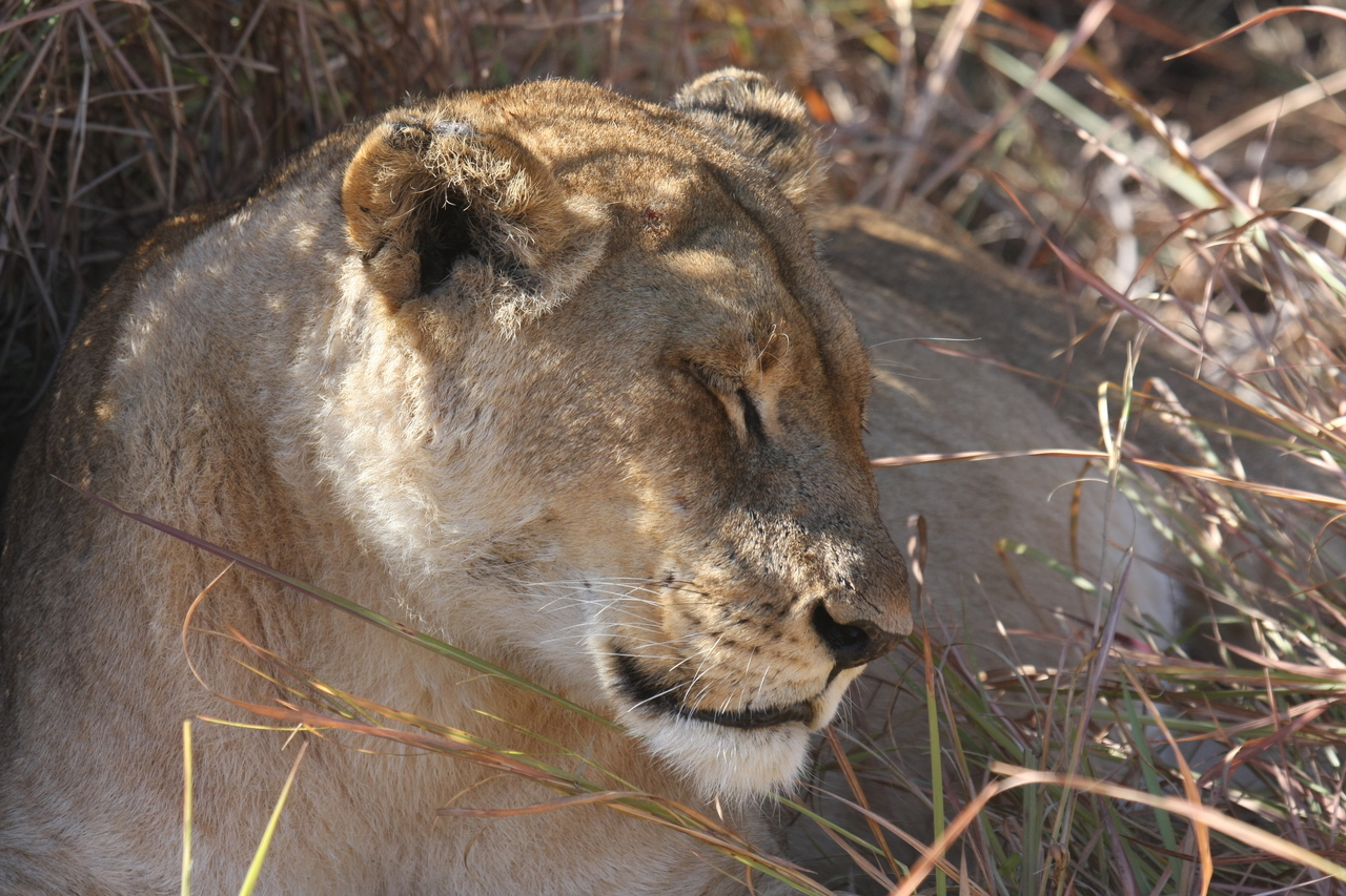 [18632] 2016_06_28_04_03_47_Africa_Canon_EOS_40D_IMG__02692.jpg