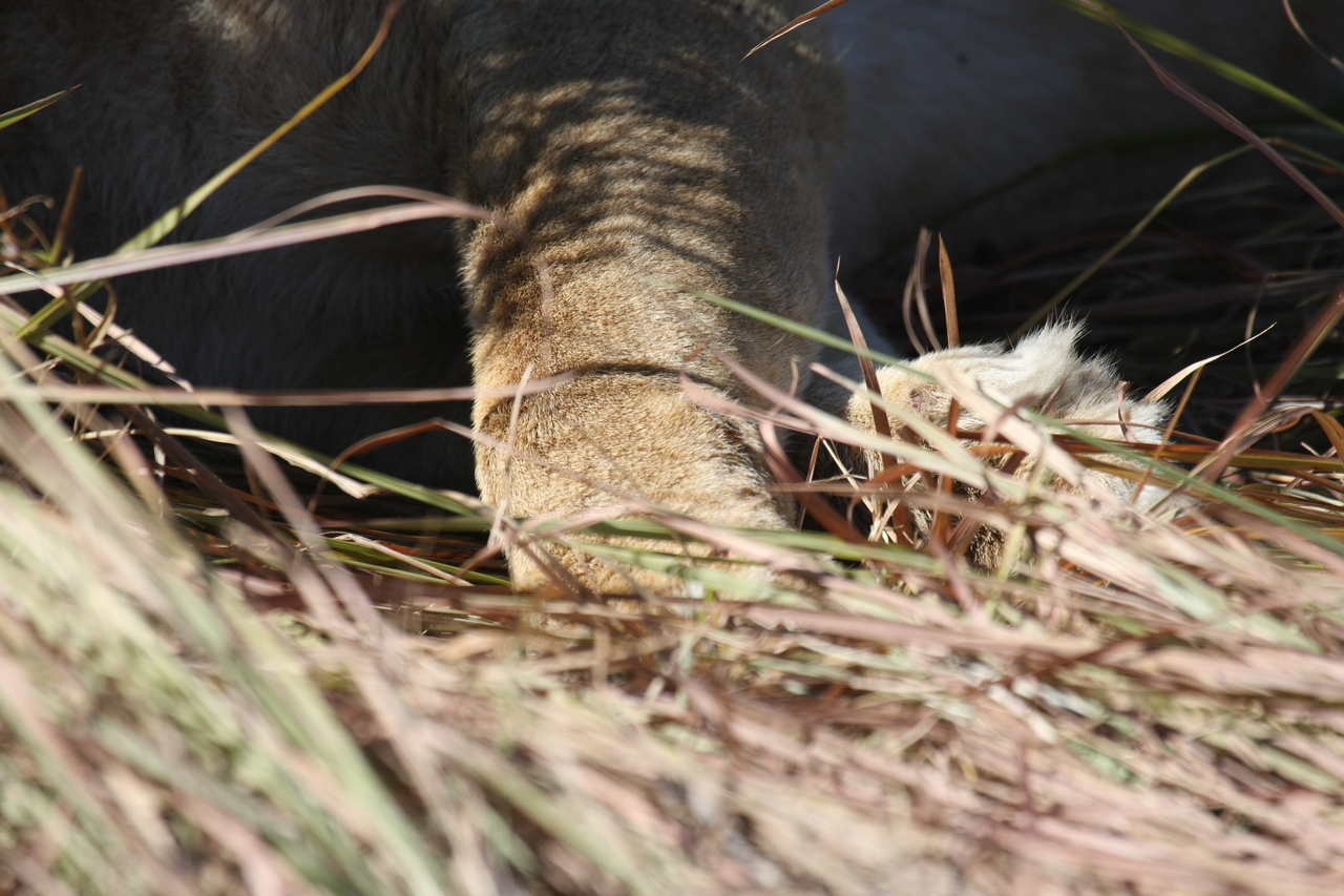 [18655] 2016_06_28_04_10_37_Africa_Canon_EOS_40D_IMG__02699.jpg