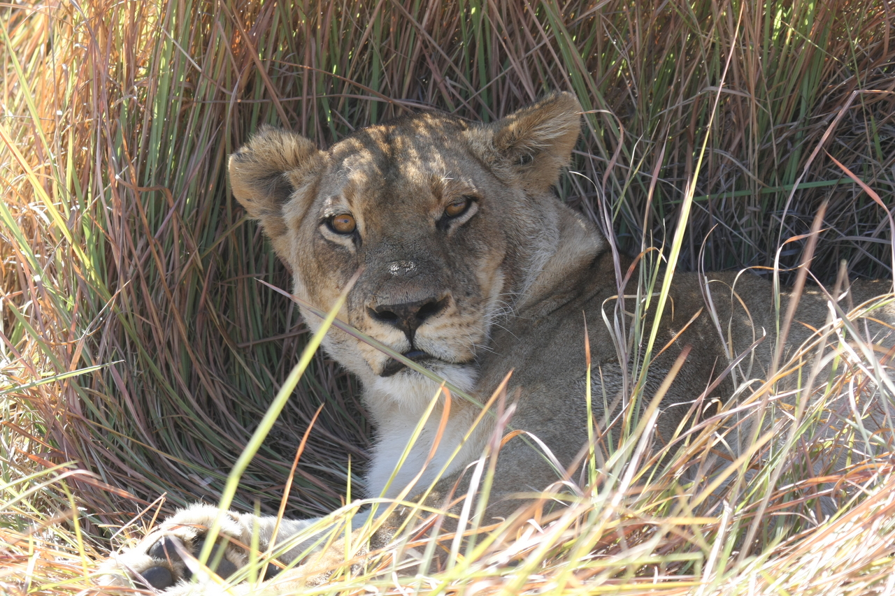 [18670] 2016_06_28_04_15_42_Africa_Canon_EOS_40D_IMG__10151.jpg