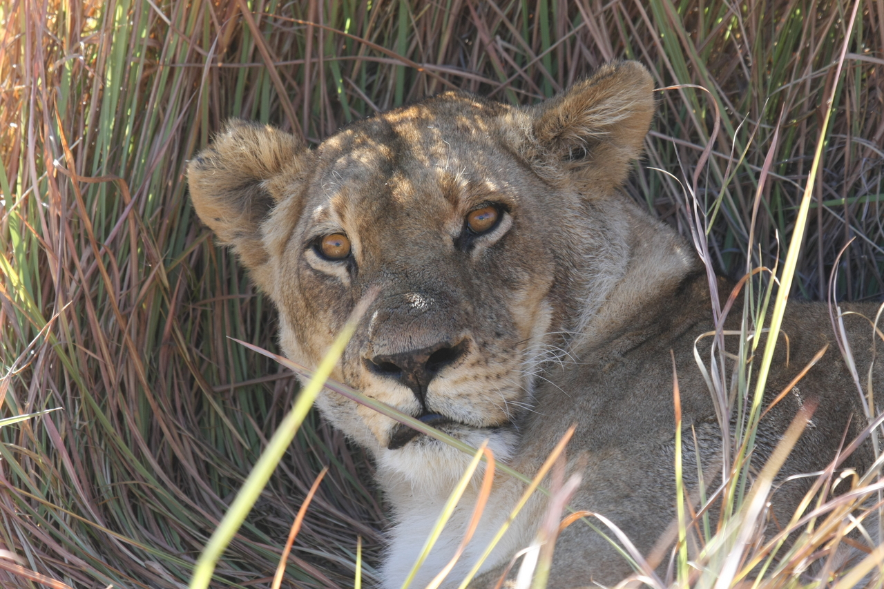 [18673] 2016_06_28_04_15_45_Africa_Canon_EOS_40D_IMG__00320.jpg