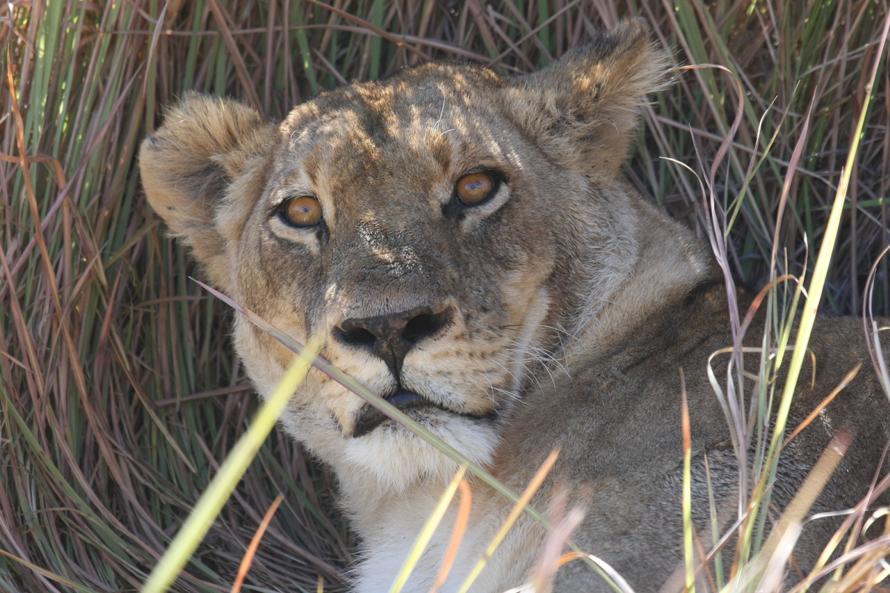 [18692] 2016_06_28_04_15_52_Africa_Canon_EOS_40D_IMG__00328.jpg