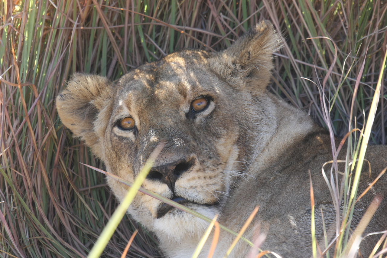 [18710] 2016_06_28_04_16_01_Africa_Canon_EOS_40D_IMG__02719.jpg