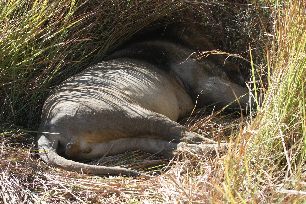 [18717] 2016_06_28_04_16_27_Africa_Canon_EOS_40D_IMG__02724.jpg