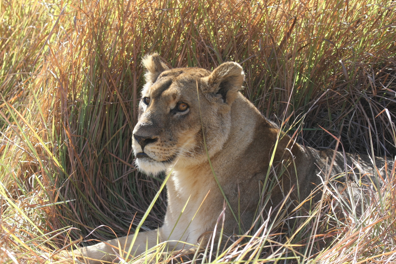 [18745] 2016_06_28_04_17_40_Africa_Canon_EOS_40D_IMG__00348.jpg