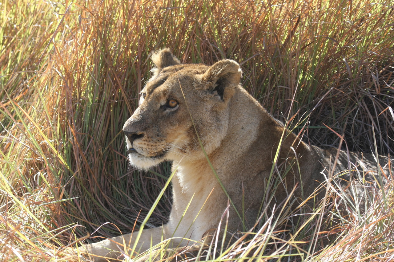 [18750] 2016_06_28_04_17_40_Africa_Canon_EOS_40D_IMG__10180.jpg